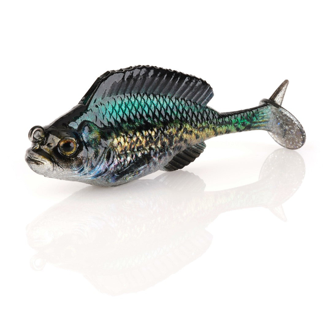 Crappie