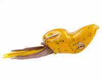 Southern Lure Scum Frog Popper