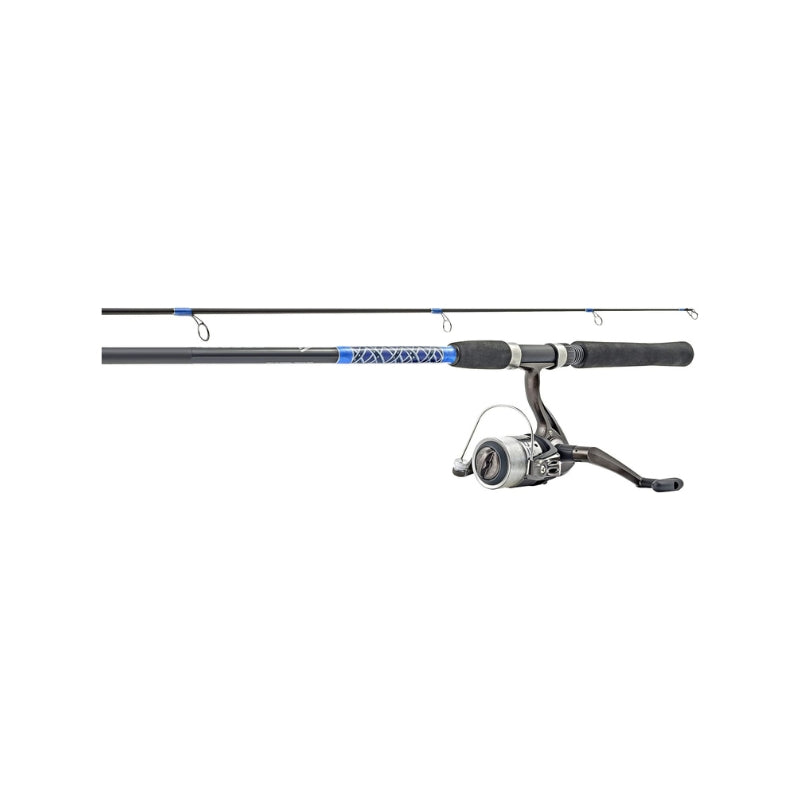 Proton Spinning Rod