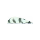 Allen Vanes-white camo