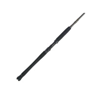 PENN Carnage III Inshore Spinning | Fast | 10 Guides