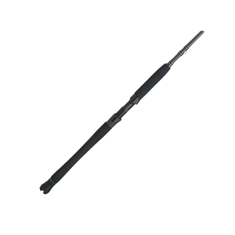 PENN Carnage III Inshore Spinning | Fast | 10 Guides