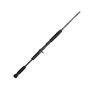 PENN Carnage III Inshore Casting | Fast | 11 Guides
