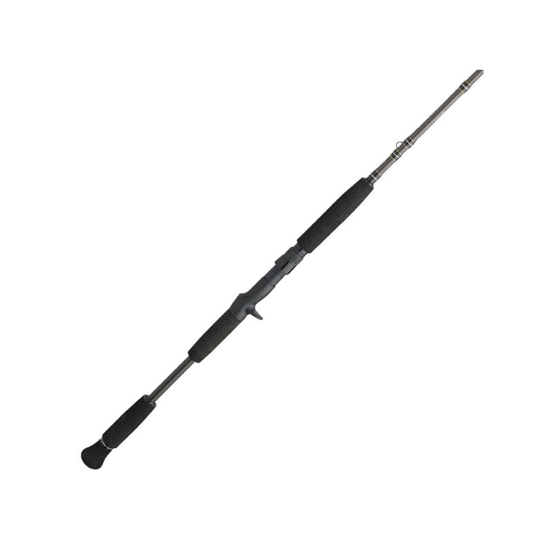 PENN Carnage III Inshore Casting | Fast | 11 Guides