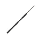 PENN Carnage III Inshore Casting | Fast | 9 Guides