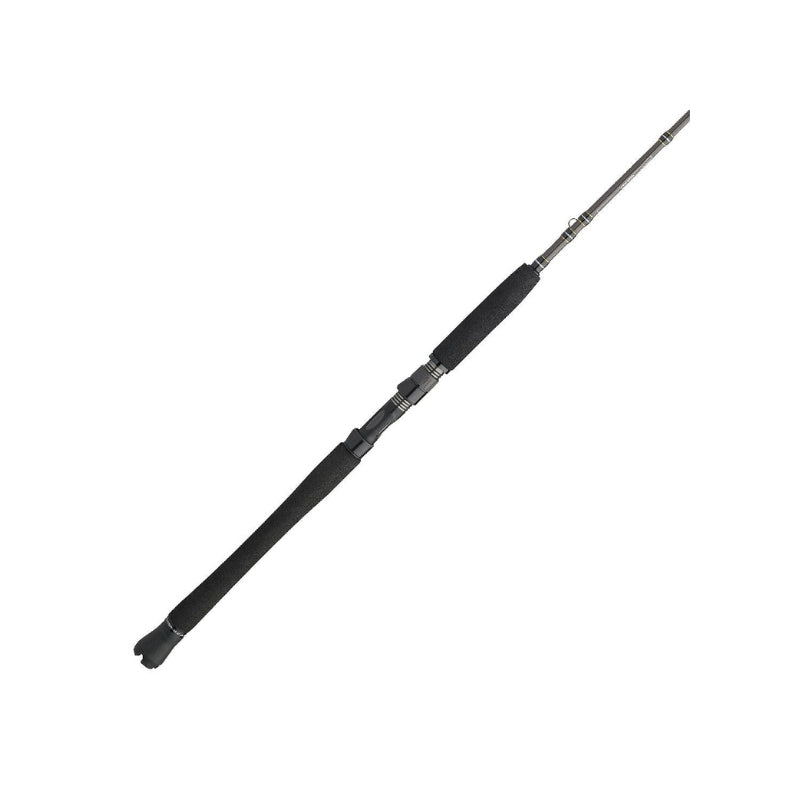 PENN Carnage III Inshore Casting | Fast | 9 Guides