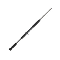 PENN Carnage III Inshore Casting | Fast | 11 Guides