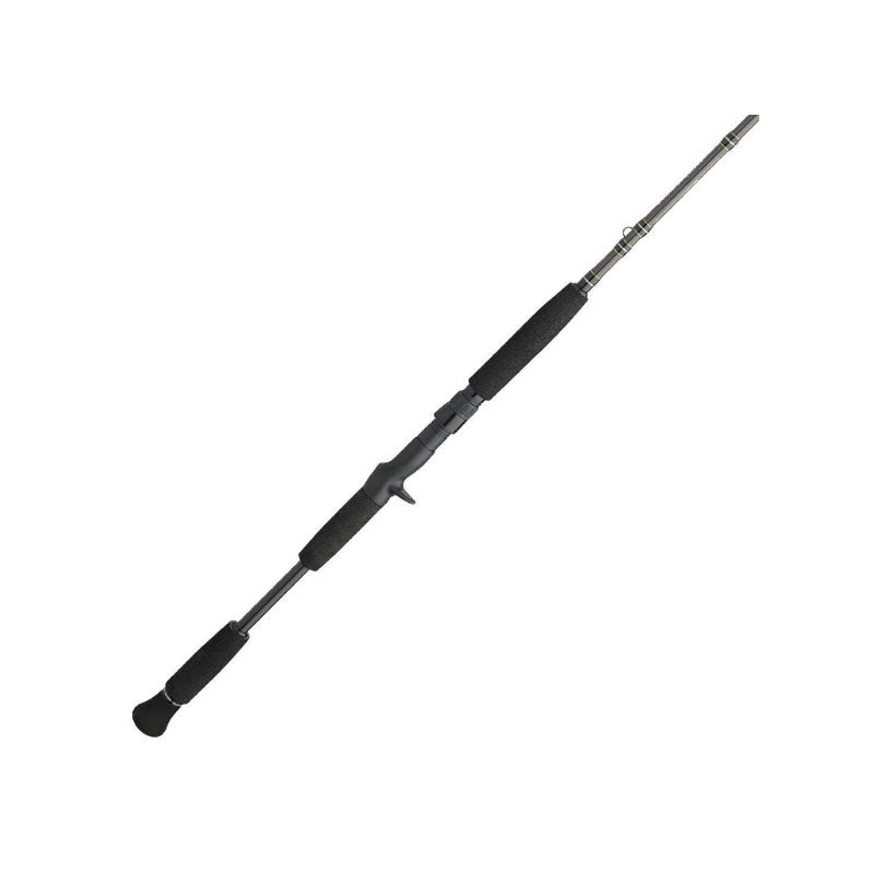 PENN Carnage III Inshore Casting | Fast | 11 Guides