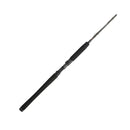 PENN Carnage III Inshore Casting | Fast | 9 Guides