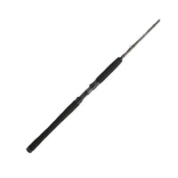 PENN Carnage III Inshore Casting | Fast | 9 Guides