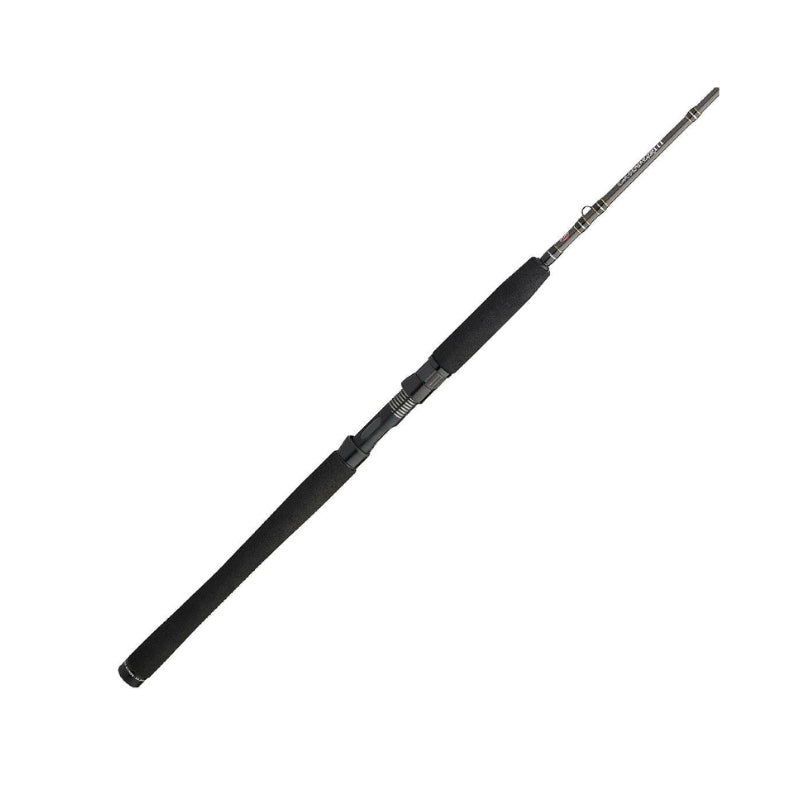 PENN Carnage III Inshore Casting | Fast | 9 Guides