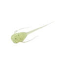 Rapala Paralyzer Panfish Plastics 6-Pack