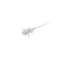 Rapala BAMF - Panfish Plastics 6 Baits Per Pack