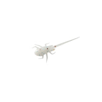 Rapala BAMF - Panfish Plastics 6 Baits Per Pack