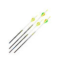 Allen 29 inch Carbon Arrows