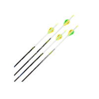 Allen 29 inch Carbon Arrows