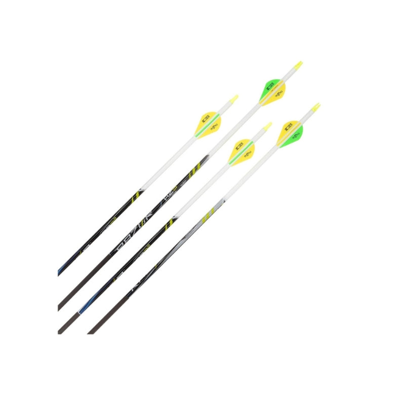 Allen 29 inch Carbon Arrows