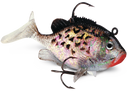 Rapala WildEye Live