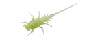 13 Fishing Bernie 6-Pack