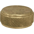 Coleman Filler Cap