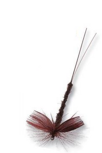 Natural Willow Drake Sz 10
