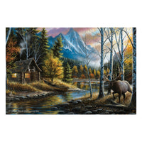 LED/Fiber Optic Illuminated Gallery Wrapped Canvas Art
