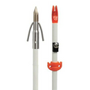AMS - Stinger Fish Arrow