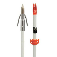AMS - Stinger Fish Arrow