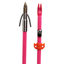 AMS - Chaos Pink Fish Arrow
