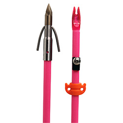AMS - Chaos Pink Fish Arrow
