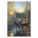 LED/Fiber Optic Illuminated Gallery Wrapped Canvas Art