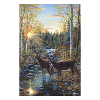 LED/Fiber Optic Illuminated Gallery Wrapped Canvas Art