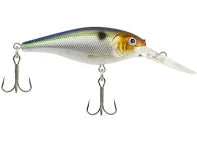 Blue Smelt