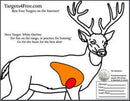 Practice Targets 32" x 52"