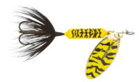 Worden's Original Rooster Tail 208 (1/8 OZ)